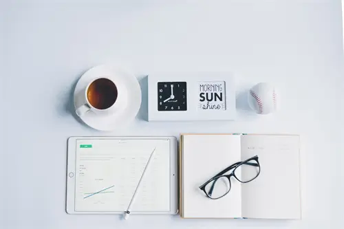 宠物公司视角介绍怎么写